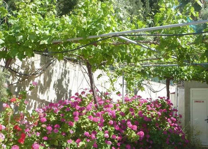 Eliofos Elegant Maisonettes アパートホテル Polis